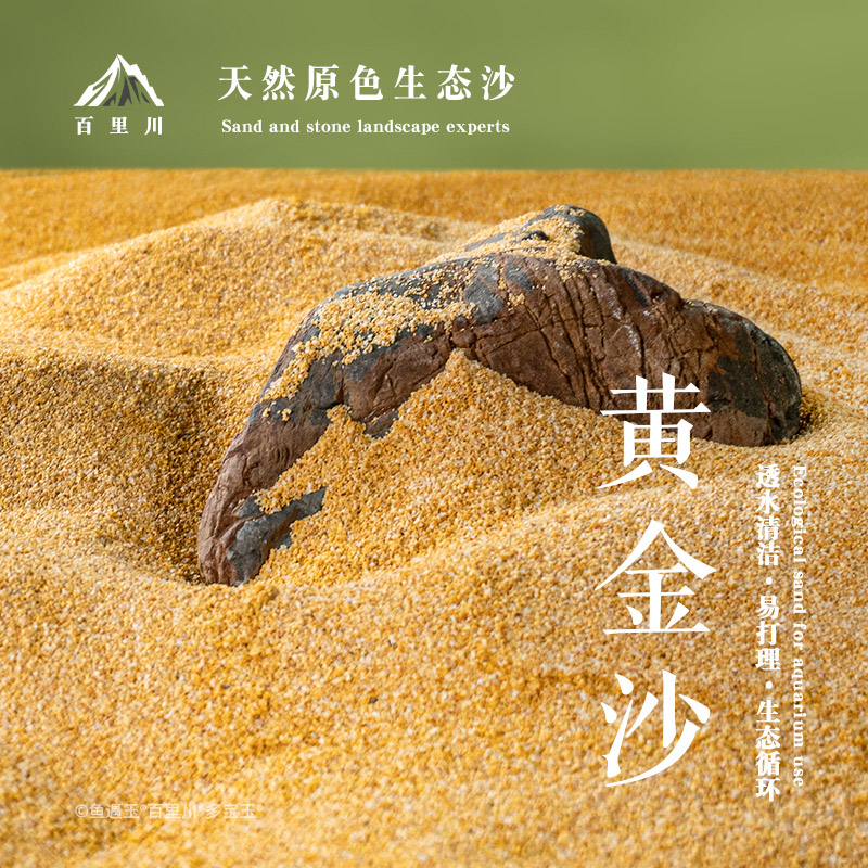 黄金沙鱼缸造景底沙净水砂装饰天然河沙化妆沙水草砂三湖鼠鱼底沙