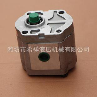 齿轮泵 定制大型机械液压马达液压泵 内螺纹