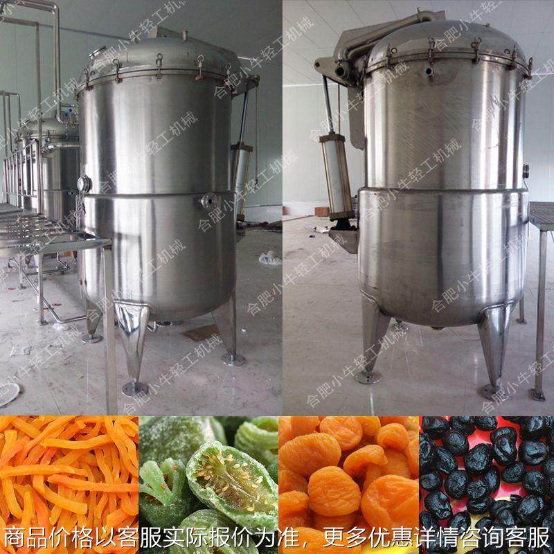 百香果真空浸糖罐 无花果奇异真空浸糖机 果干真空负压渗糖设备,清洗/食品/商业设备,果蔬加工设备,淘宝优惠券,粉丝福利购,淘宝优惠卷