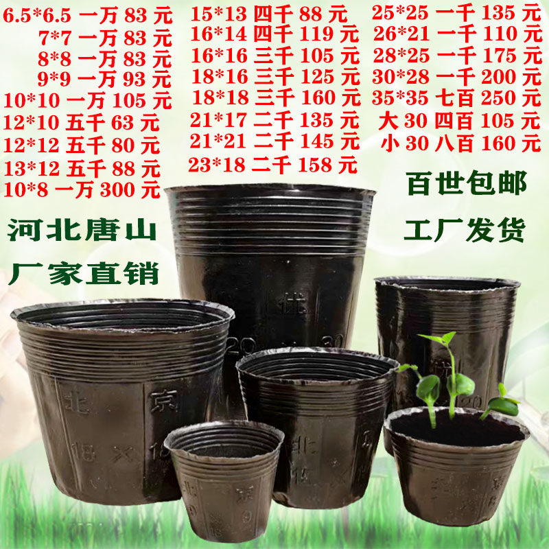 加厚营养钵育苗杯育苗袋一次性塑料厂家直销蔬菜杯 营养杯育秧盆