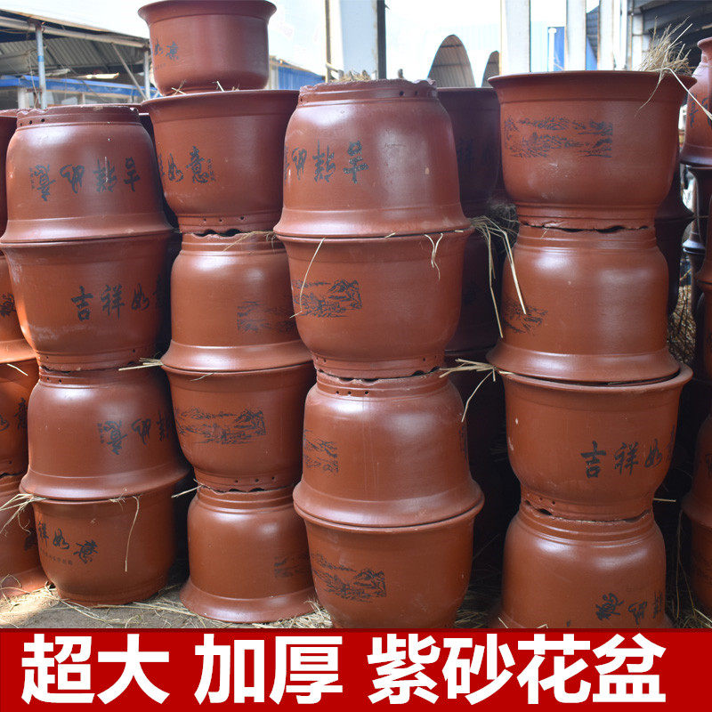 超大号紫砂花盆树桩盆景铁树花盆红陶花盆大型绿植树景盆红黄花盆