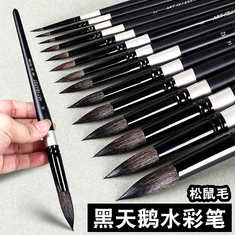 韩国黑天鹅圆头松鼠毛彩画笔动物毛笔 手绘固体粉颜专业美术生绘