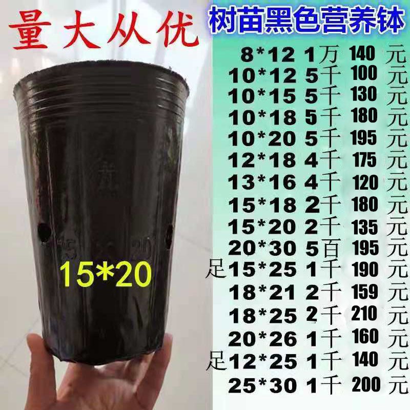 营养钵育苗袋细营养杯一次性盆树苗提根营养袋育苗钵黑色