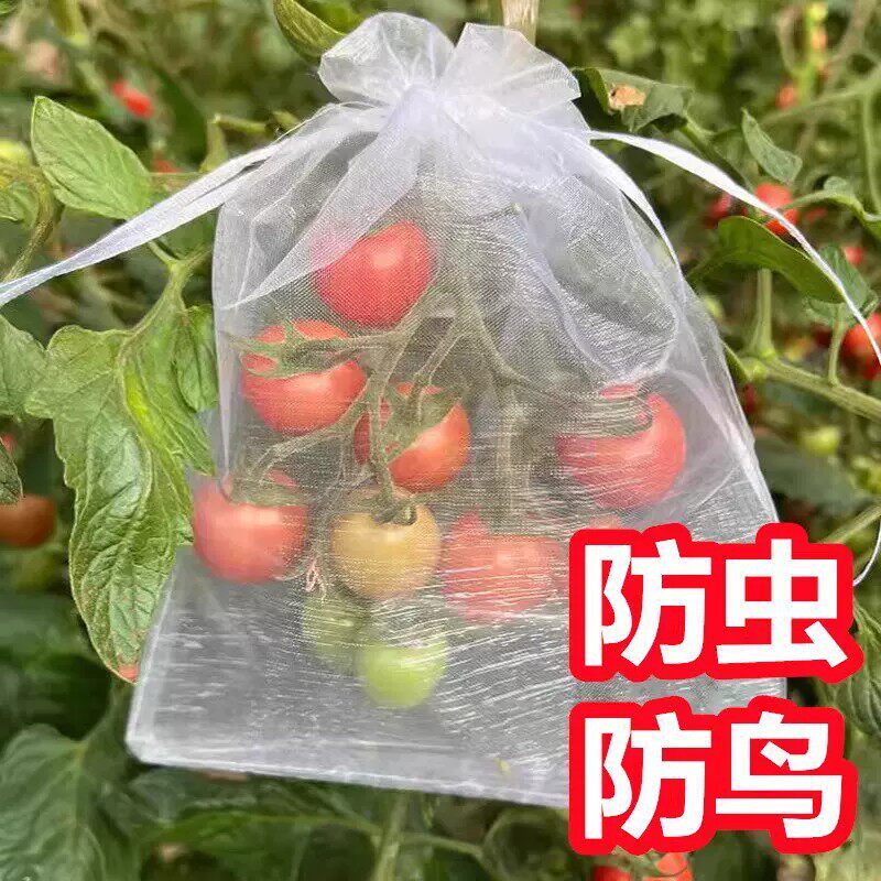 【下单立减50】防虫防鸟网袋水果防护袋透气纱袋葡萄番茄草莓套袋