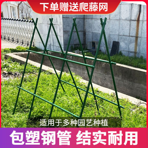 庭院户外黄瓜豆角丝瓜葡萄爬藤架包钢管植物固定杆园艺支架