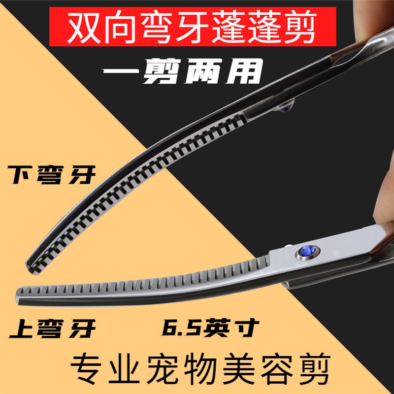 安全圆头宠物美容剪专业弯牙剪上弯下弯剪弧形弯牙剪蓬蓬