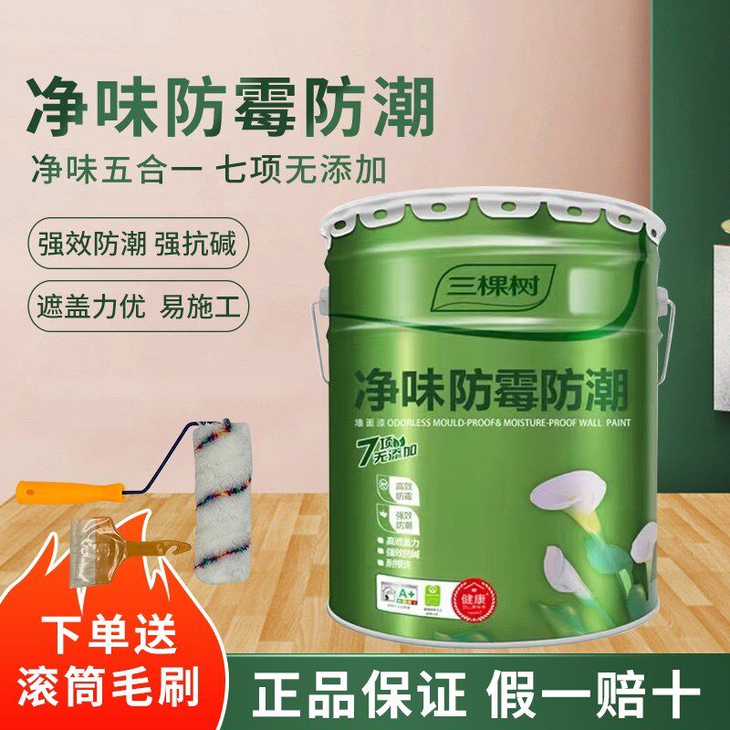 三棵树净味霉潮乳胶漆室内墙漆白色内墙涂自刷修复