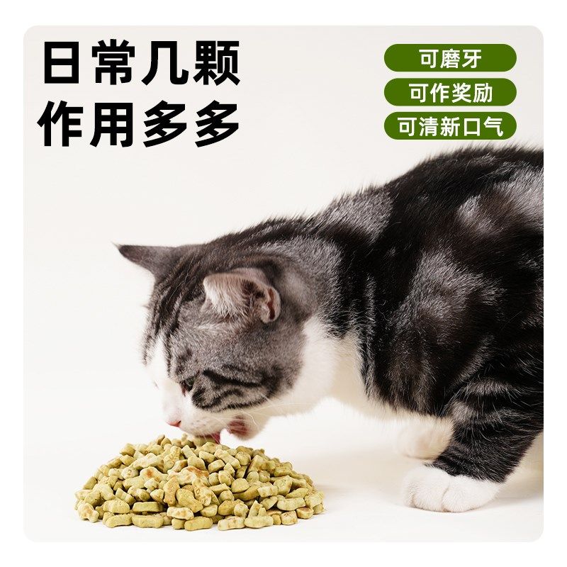 嘉传薄荷饼干猫咪零食成幼猫卵磷脂美毛排毛球洁齿磨牙猫草鱼油棒,宠物/宠物食品及用品,猫零食罐,淘宝优惠券,粉丝福利购,淘宝优惠卷