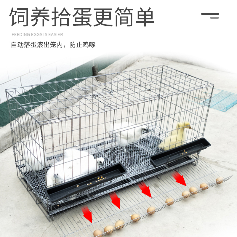 家用蛋鸡笼大号可折叠中大加粗宠物滚蛋幼兔小型鸽子兔子鸡养殖笼