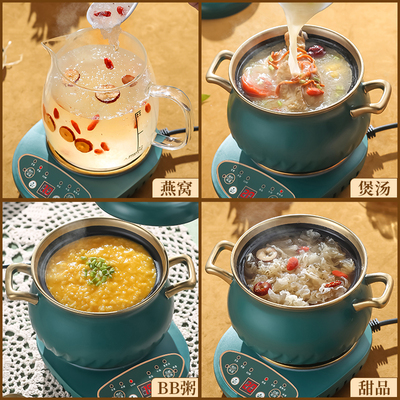 家用大容量炖煮一体多功能养生壶砂锅药煲静音陶瓷中药电药锅绿色