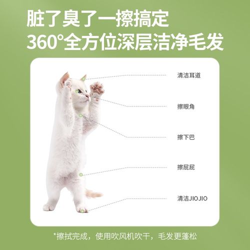 猫咪免洗澡手套干洗神器宠物免洗小狗狗清洁用品幼猫擦猫口袋