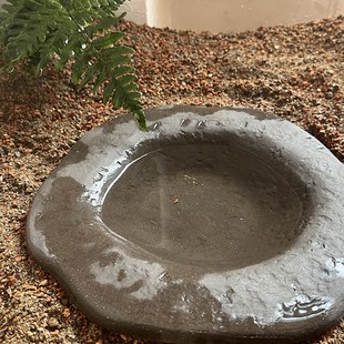 黄缘安缘龟专用洗澡盆造景装 水盆 饰半水龟陆龟喝水盘泡澡盆分体式