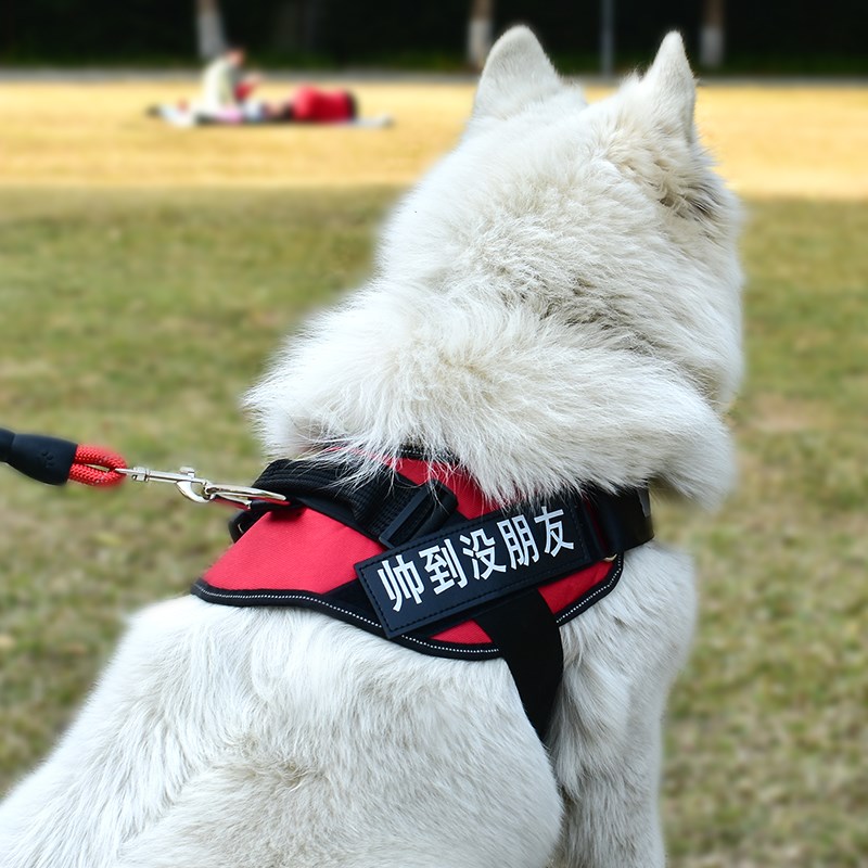 狗狗牵引绳背心式胸背带溜小型中型大型犬宠物狗绳金毛链子防咬断