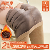 女款 冬季 加厚加绒德自发热保暖裤 宜而爽秋裤 零下40度东北打底绒裤
