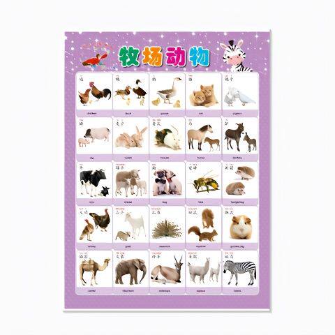 12生肖图片无声挂图幼儿童宝宝识字认物图片启蒙认知贴画墙贴