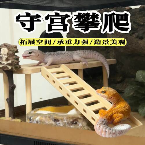 守宫攀爬双层别墅睫角豹纹蜥蜴肥尾爬宠新年造景躲避爬梯爬宠玩具