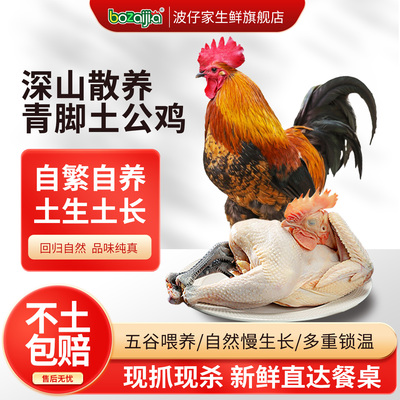 bozaijia大别山散养青脚土公鸡