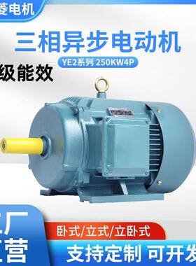 工厂直供三相异步电动机YE418.5W4P(18.5千瓦4极)多款交流电机