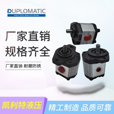 DUPLOMATIC迪普马油泵GP3-0207/0225/0264/0337/0394意大利齿轮泵