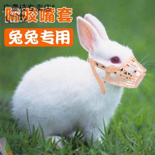套兔子神器防咬嘴头套宠物防啃咬嘴巴罩项圈电线防垂耳兔子啃咬线