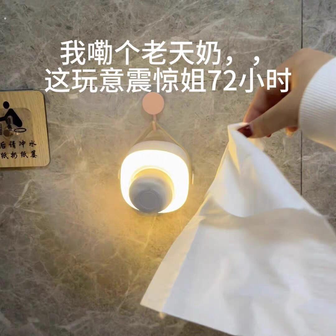 厕所风扇免打孔壁挂式吊扇家用宿舍出租屋静音充电多功能遥控台扇