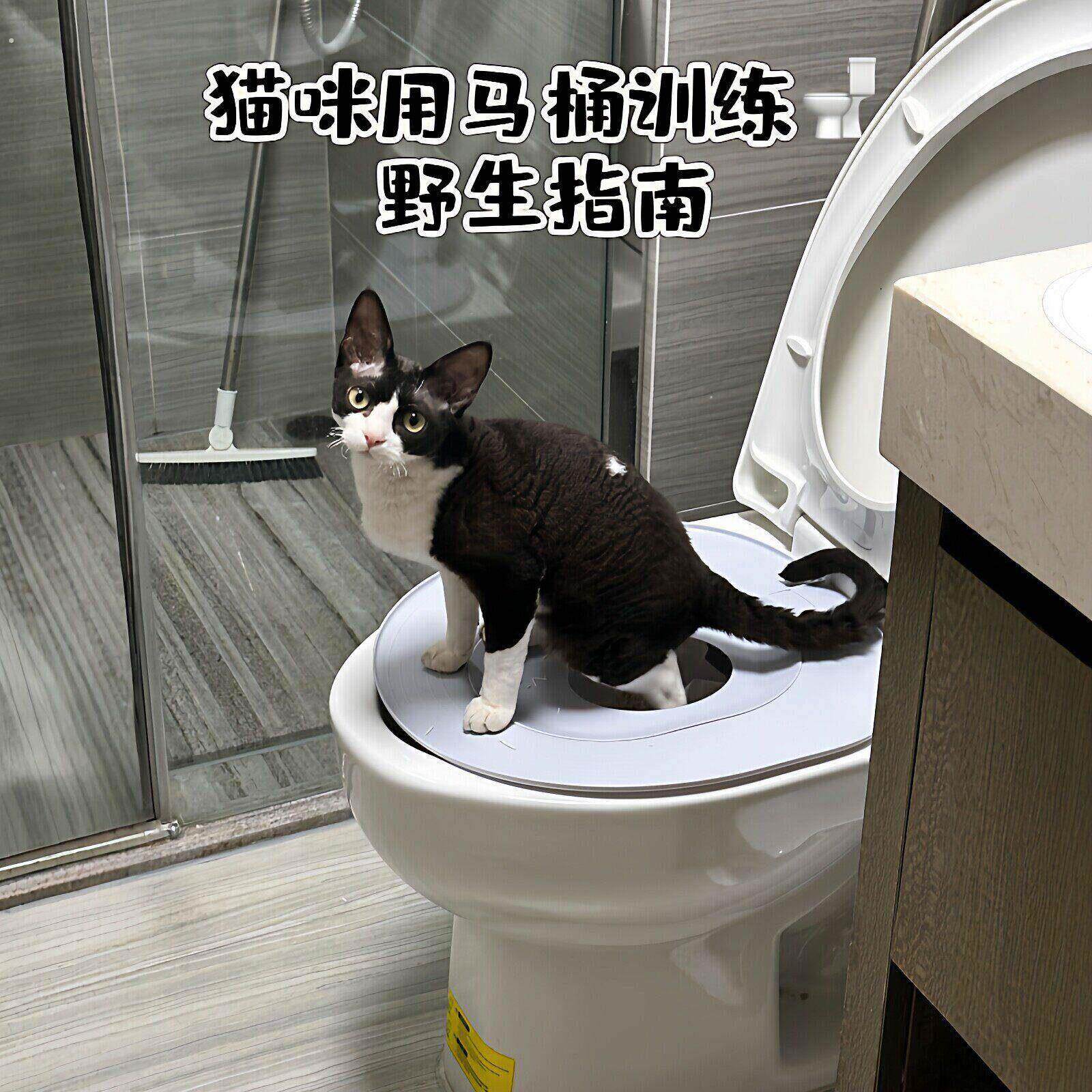 告别猫砂盆!猫咪马桶训练器环保易清洗防外溅款宠物坐便器引导垫