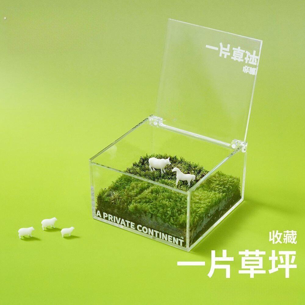 一块草坪片迷你苔藓盒办公室桌面绿植盆栽创意桌搭治愈系微景观