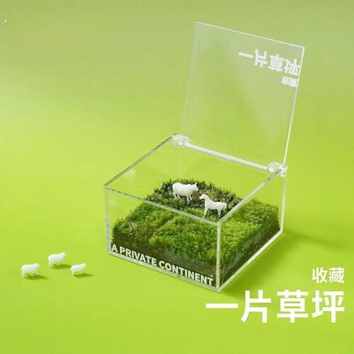一块草坪片迷你苔藓盒办公室桌面绿植盆栽创意桌搭治愈系微景观