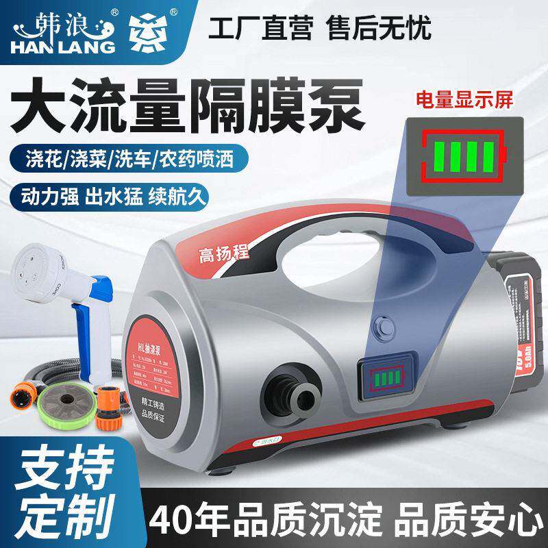 定制农用便携式扬程锂电池水泵喷洒果树农充电浇菜抽水机24V