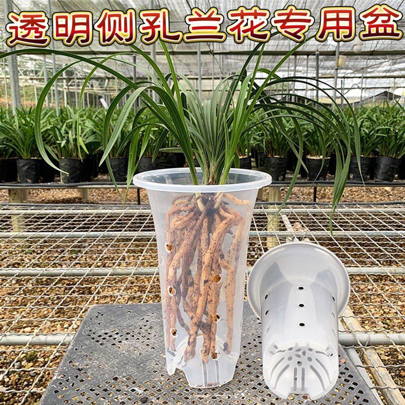 高宅大口径兰花专用盆简约加厚虎皮兰花盆塑料特大侧孔透明兰花盆