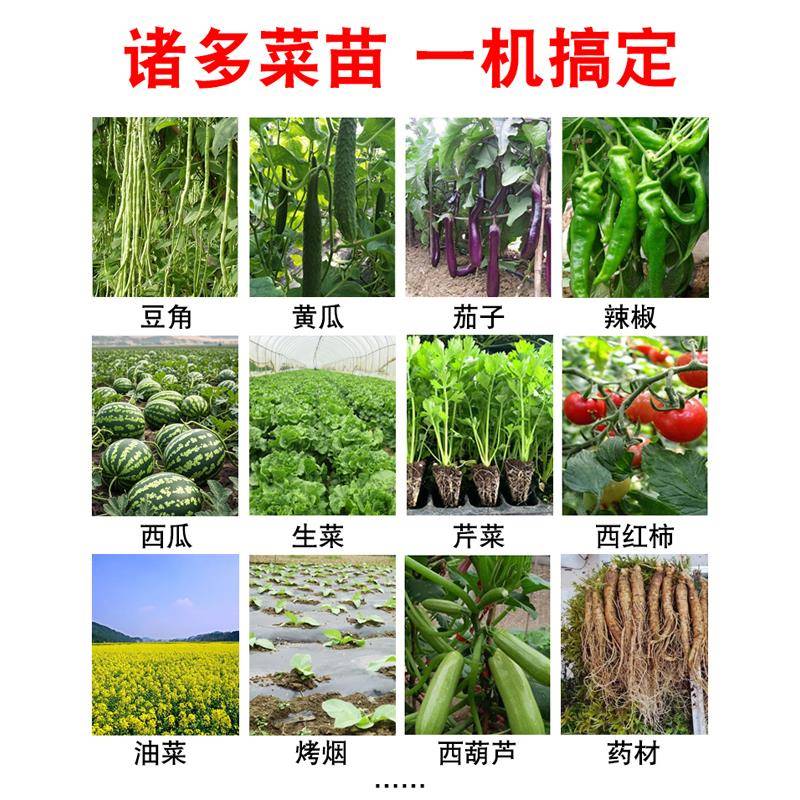 栽苗神器种苗种菜专用种辣椒苗移载机器种植工具播种器载苗移苗器