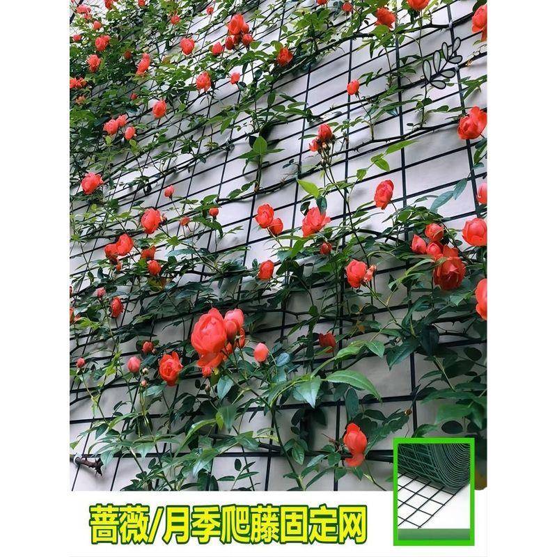 花墙架网格园艺铁丝网防护网围栏网月季蔷薇植物爬藤户外庭院专用