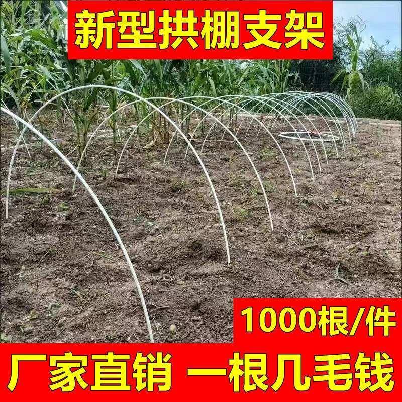 小拱棚支架爬藤杆大鹏冬天遮阳棚小棚菜地高韧性搭架弯曲弓子架子
