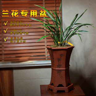 紫砂兰花花盆 六方精品刻绘带托盘兰草绿植盆栽古典紫泥清水泥盆