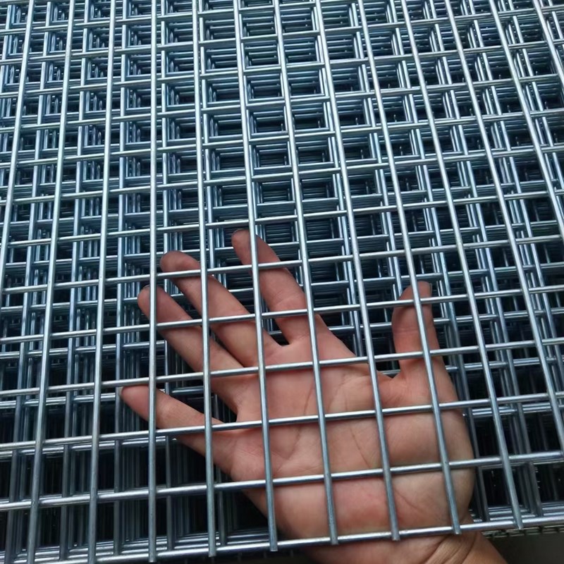 镀锌网片养殖网底网围栏网钢丝网狗笼小孔加粗建筑网格防护隔离网