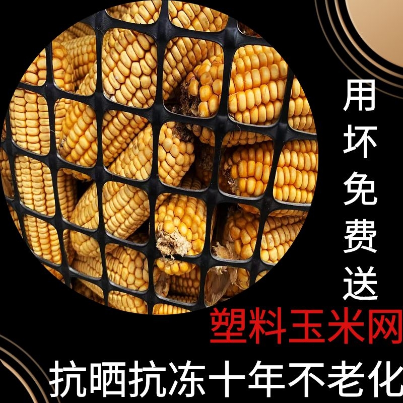 玉米储存仓网囤网圈围装晾晒玉米网棒子网养鸡围栏塑料养殖围栏网