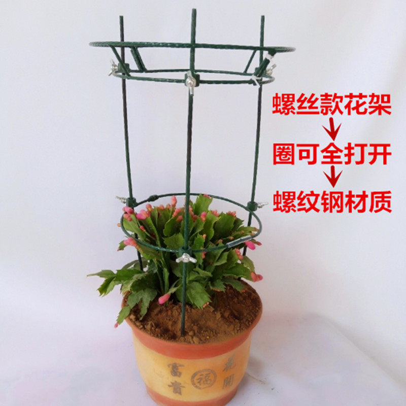 新款蟹爪兰支架蟹爪莲绿植铁固定嫁接伞型支撑高50厘米组装花架圈图片