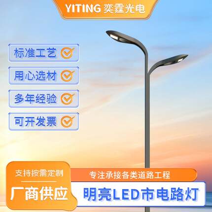 市政路灯头杆市政道路单臂单头双臂双头LED市电路灯质优厂家可定