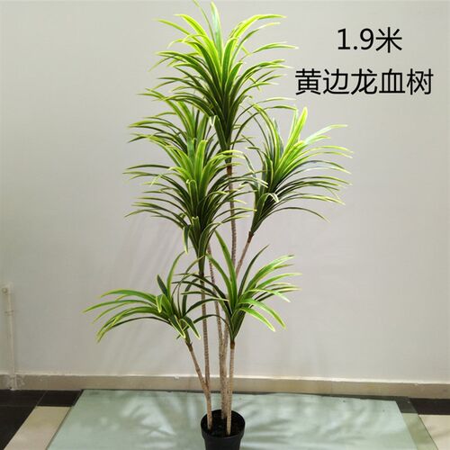 仿真植物大型龙血树酒店家居软装橱窗装饰绿植盆栽客厅假树造景
