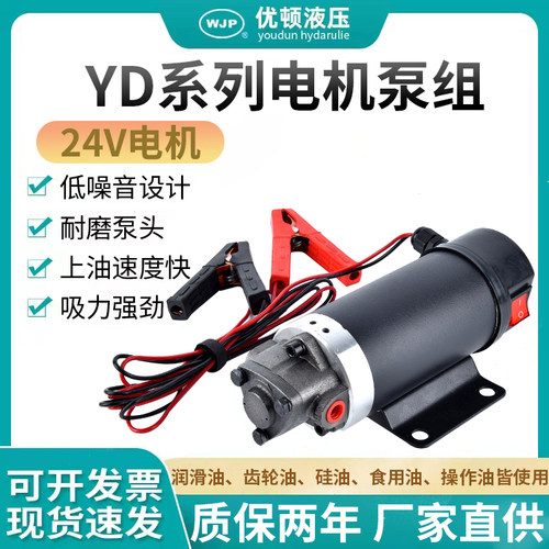 24V 保养泵自吸式抽油泵电泵小型抽油泵加油器直流抽油泵便携油泵