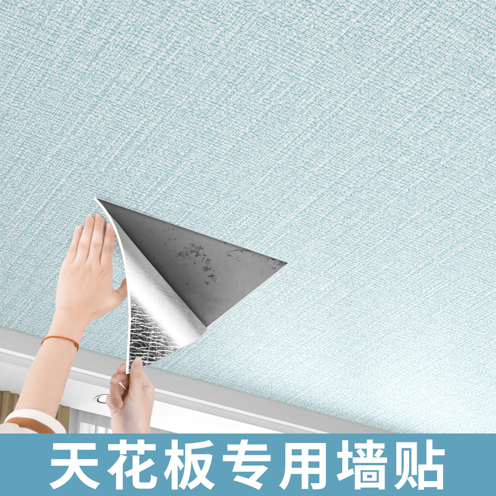 天花板贴纸自粘屋顶吊顶自装遮丑墙纸室内顶部隔音潮墙贴纸