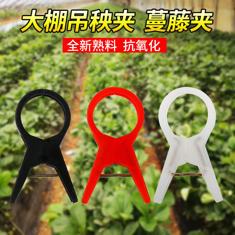 黄瓜夹子吊秧夹西红柿黄瓜吊蔓夹蔬菜大棚夹子专用西瓜嫁接绑蔓夹,农机/农具/农膜,其它农用工具,淘宝优惠券,粉丝福利购,淘宝优惠卷