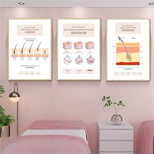 美容院皮肤管理结构图装饰画面部保养头疗养护墙壁画护肤养生挂画