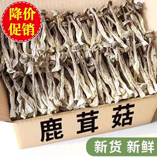 鹿茸菇大碎片500g干货脆脆菇鹿茸菌包子饺子馅料食用菌古田土特产