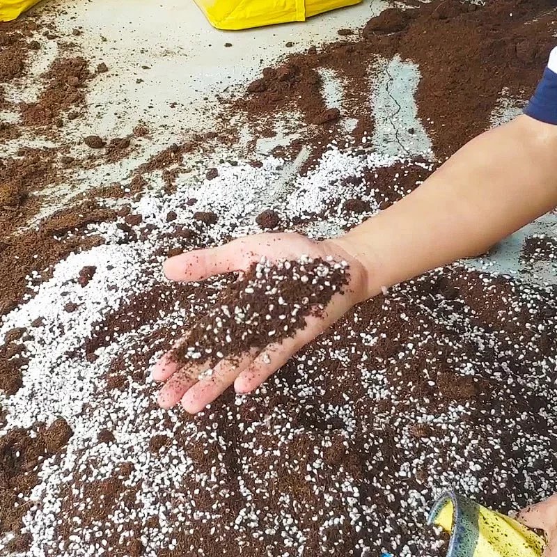 【可乐刚哥】多肉植物 高品质营养土+珍珠岩+椰糠【按升】