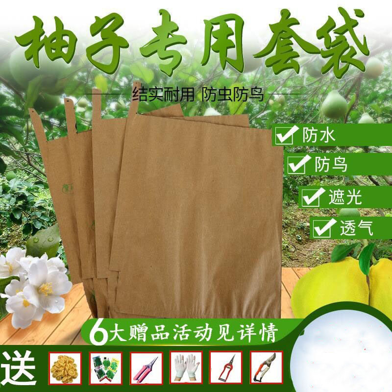 柚子套袋专用袋 沙田柚子包装袋 三红蜜柚套袋 包柚子的袋子 防虫
