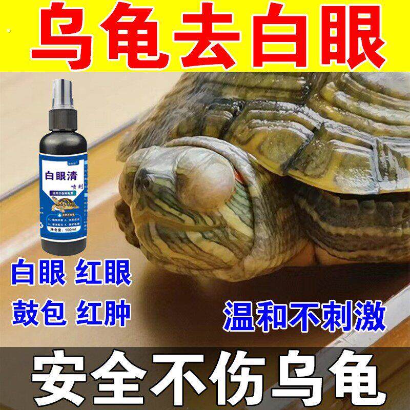 乌龟白眼红眼蒙眼乌龟白眼专用巴西龟草龟乌龟眼睛睁不开红肿