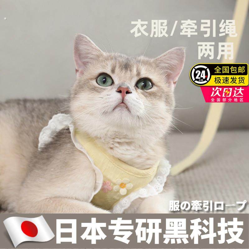 猫咪牵引绳防挣脱外出专用溜猫背心式背带小型犬小猫猫防丢遛猫绳,宠物/宠物食品及用品,猫牵引绳,淘宝优惠券,粉丝福利购,淘宝优惠卷
