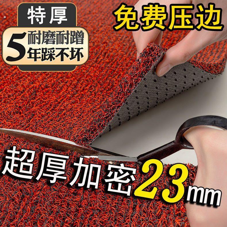 特厚2.3厘米塑料丝圈地垫门垫进门入户地毯门口商用家用汽车脚垫
