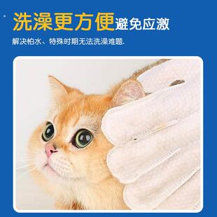 宠物免洗手套猫咪狗狗干洗洗澡擦脚神器眼部专用清洁湿巾除臭去污